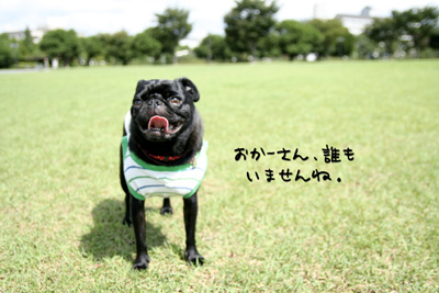 元浜公園です