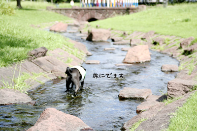おっ行ったか・・・。