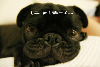 顔が伸びるね。