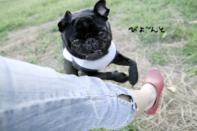 もういっちょう!