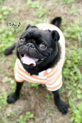 ふひー。