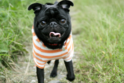 smile♪