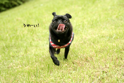 よろこびー!