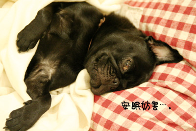 ごめんなさいよ。