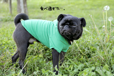 おえっぷ