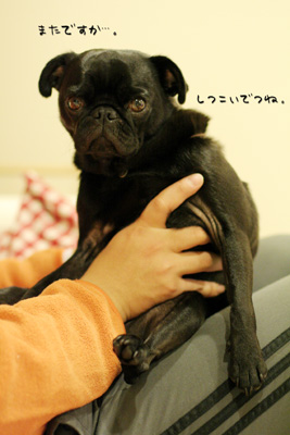 やめてください