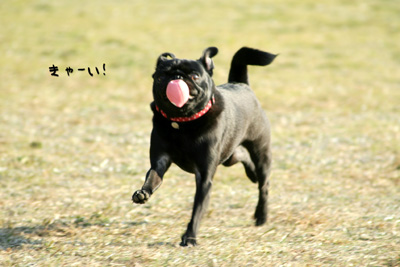 よろこびー!
