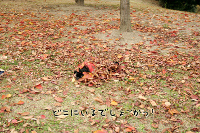 うふふ。かくれんぼ