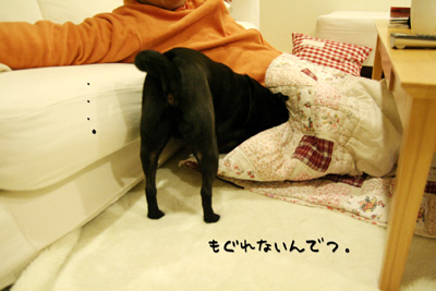 さむがりっこ