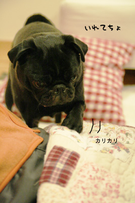ねぇ。