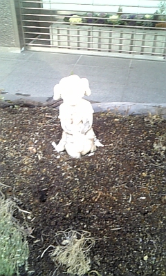 DVC00078.jpg