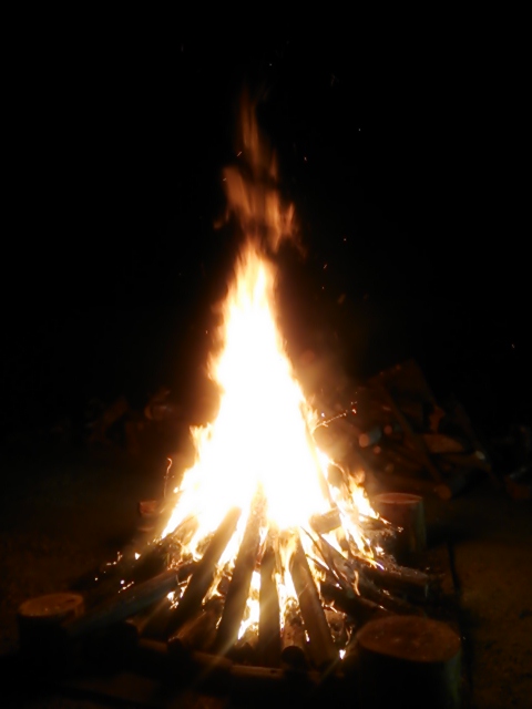 DSC_0159.JPG
