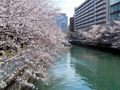 20140406-01.jpg