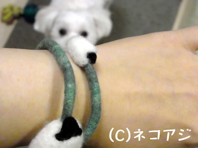 20141211-03.jpg