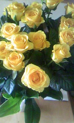 091017_1106~01.jpg