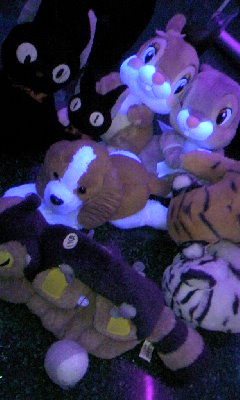 091031_1443~01.jpg
