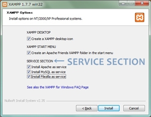“SERVICE SECTION”にチェックを入れる。