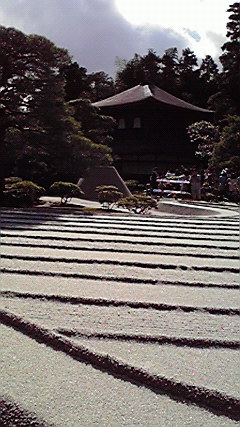 P1000329.jpg