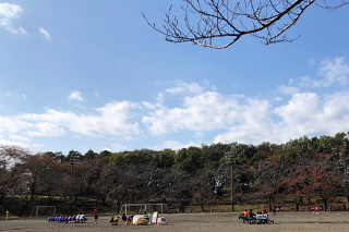HSC001.jpg