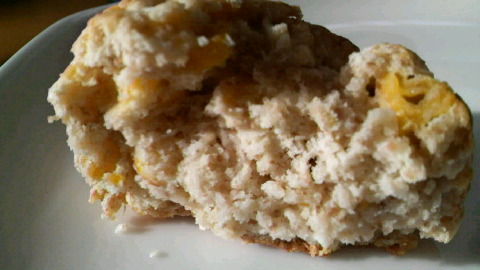 2009010910360000.jpg