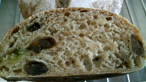 2009021813550000.jpg
