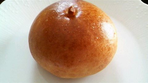2009050515080000.jpg