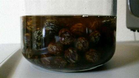 2009052815190000.jpg