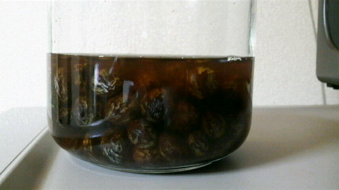 2009052815190001.jpg