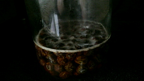 2009052815210000.jpg