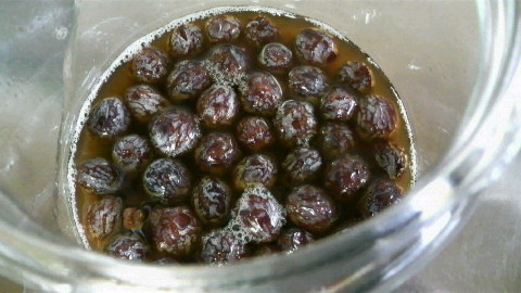 2009052908180000.jpg