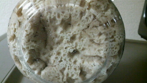 2009053102190000.jpg