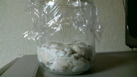 2009053102200001.jpg