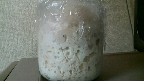 2009053111340000.jpg