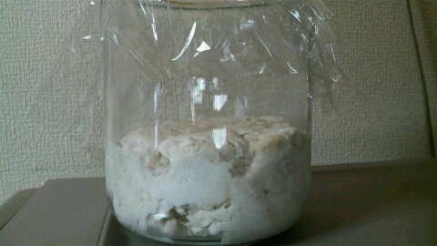 2009053111340001.jpg