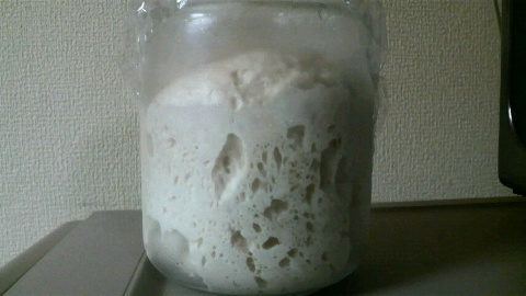 2009053117510000.jpg