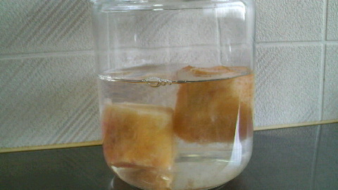 2009071508390000.jpg
