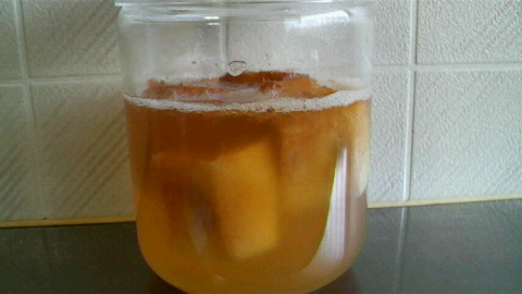 2009071508410000.jpg