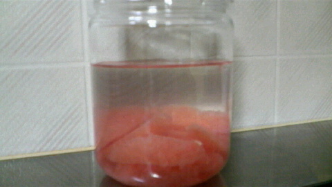 2009080320500000.jpg