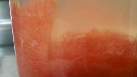 2009080320540001.jpg
