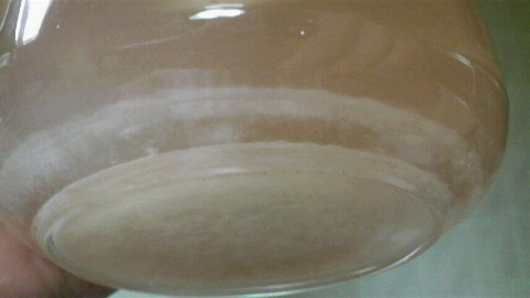 2009080621390000.jpg