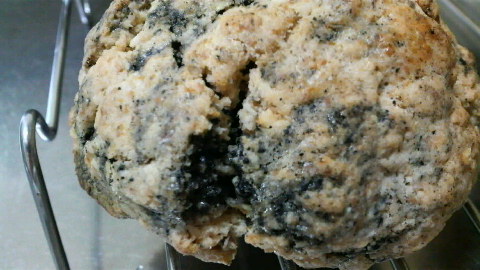 2009081821330001.jpg