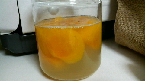 2009102519060000.jpg