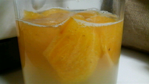 2009102817310000.jpg