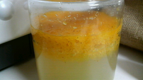 2009102817330000.jpg