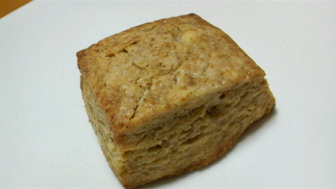 2009110820220000.jpg
