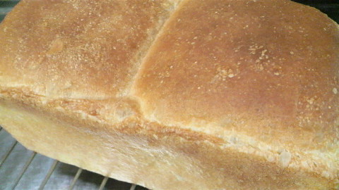 2009121416450000.jpg