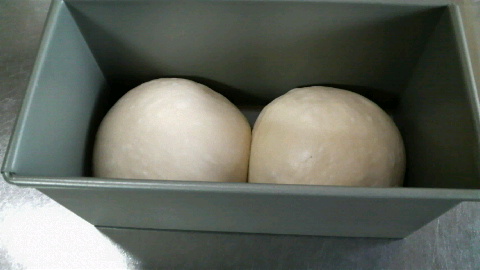 2009121416490000.jpg