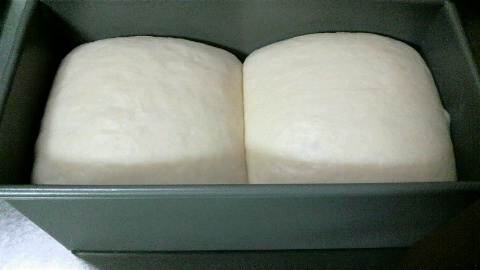 2009122321120000.jpg