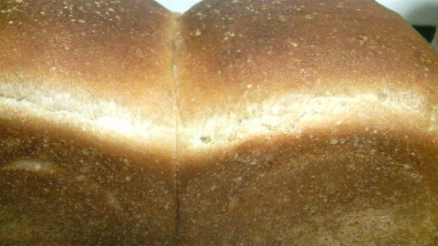 2009122321140001.jpg