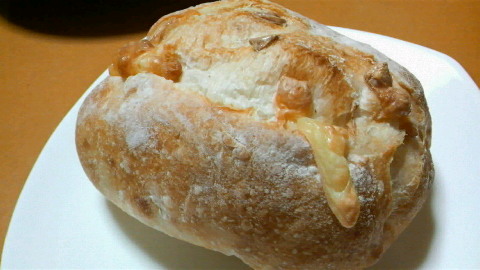 2009122719440001.jpg